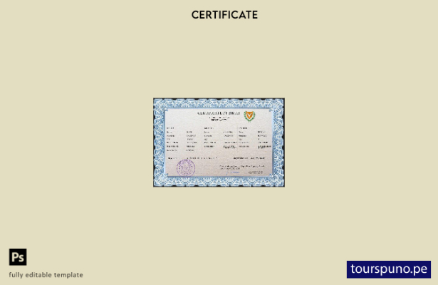 listo para imprimir plantilla PSD de certificado de nacimiento de registro ci 14